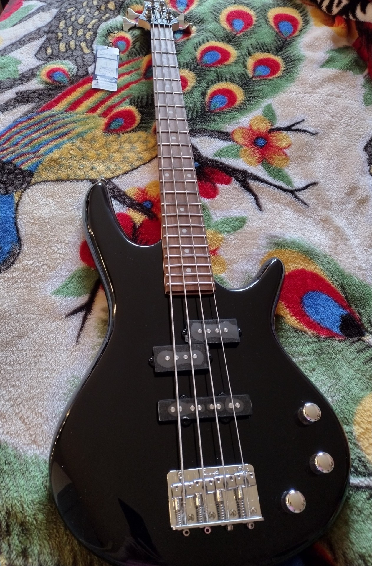 I Got a Bass Guitar by noshylover